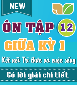 Ôn tập Giữa kỳ I (KNTT_T12-2027)